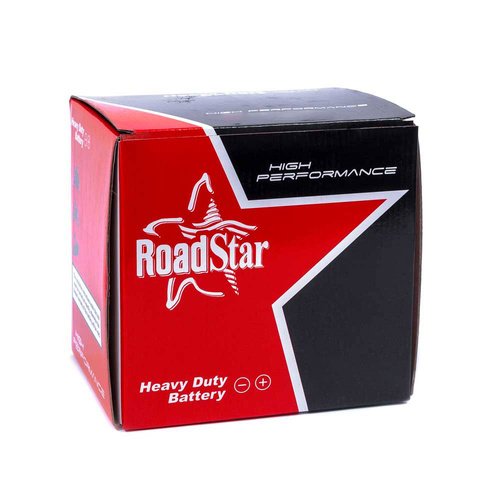 Roadstar Standard Series 6N2-2A 6 Volt 2Ah Battery